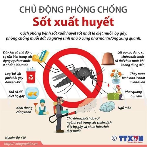 Ngày 02 tháng 11 năm 2024, Trường THCS An Nhơn tiến hành phun thuốc phòng bệnh sốt xuất huyết trong toàn trường lần 2 năm học 2024 - 2025.