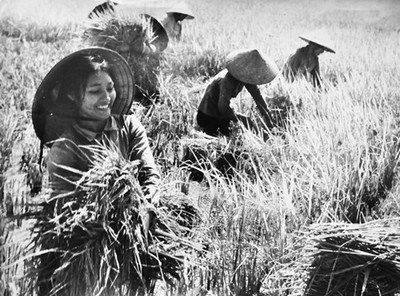 Phụ nữ việt nam trong âm nhạc