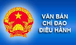 Về triển khai Luật sửa đổi Luật Quy hoạch, Luật Đầu tư, Luật Đầu tư theo phương thức đối tác công tư và Luật Đấu thầu ngày 29 tháng 11 năm 2024, Nghị định số 17/2025/NĐ-CP ngày 06 tháng 02 năm 2025, Thông tư số 23/2024/TT-BKHĐT ngày 31 tháng 12 năm 2024