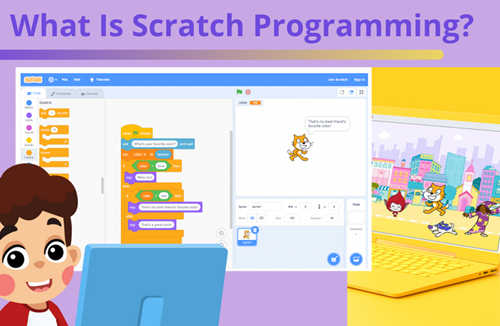 Phát động cuộc thi  Vui học lập trình Scratch  của PGD TP.Thủ Đức tổ chức