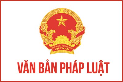 Văn bản pháp luật tháng 10/2024
Năm học 2024 - 2025
