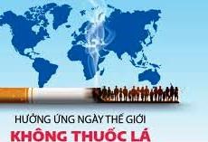 Tăng cường triển khai thực hiện chiến lược quốc gia về phòng, chống tác hại thuốc lá đến năm 2030