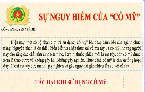 Sự nguy hiểm của cỏ Mỹ