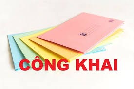 Công khai tài chính các loại quỹ - Tháng 11/2023