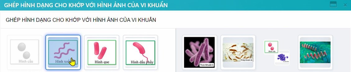 Ảnh đại diện