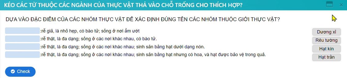 Ảnh đại diện