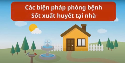 Các biện pháp phòng bệnh Sốt xuất huyết tại nhà.