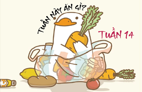 Tuần 14 (9/12-13/12/2024)