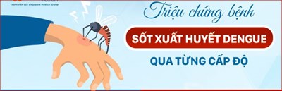 Triệu chứng của bệnh sốt xuất huyết qua từng cấp độ