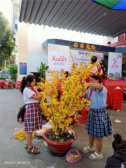 Ngày 28 tháng 01 năm 2024, Liên đội Trường Trung học cơ sở Huỳnh Văn Nghệ tham gia Hội thi  Trang trí mai, đào  tại nhà thiếu nhi quận Gò Vấp
