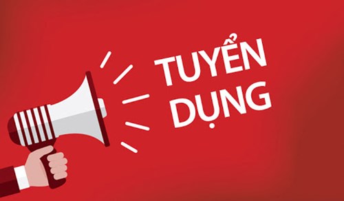 Kế hoạch tuyển dụng viên chức ngành Giáo dục Đào tạo Quận 8 Năm học 2024 - 2025