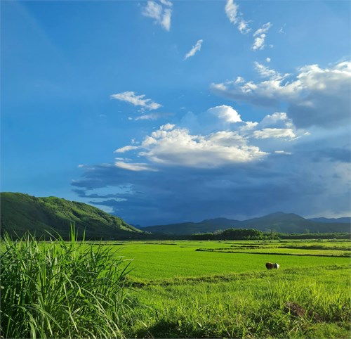 Hội thi sáng tác ảnh tuổi xanh lần xvii .