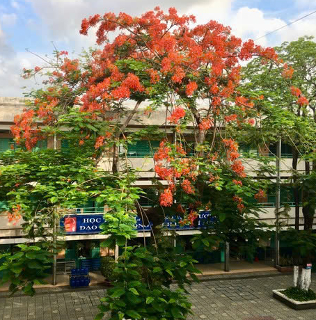 Tập thể Hội đồng sư phạm cùng Ban đại hiện cha mẹ học sinh trường THCS Phan Tây Hồ dâng hương kỉ niệm 49 năm ngày truyền thống trường 14/12/2024.