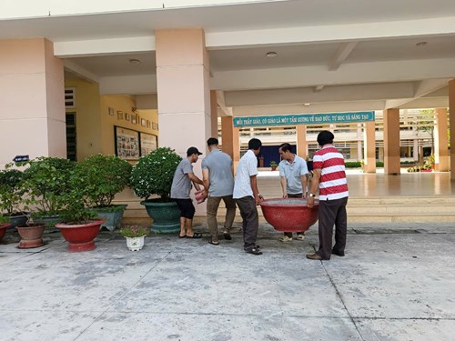 Công tác tạo mảng xanh chào đón năm học mới