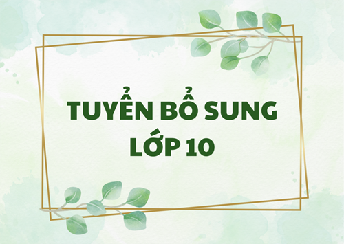 TP HCM chính thức công bố danh sách các trường tuyển bổ sung lớp 10 năm học 2024 - 2025