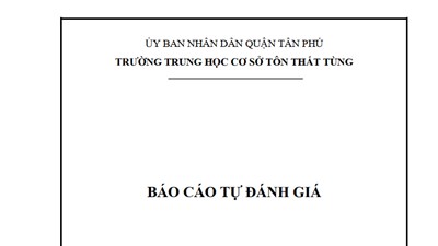Trường THCS Tôn Thất Tùng Báo cáo tự đánh giá