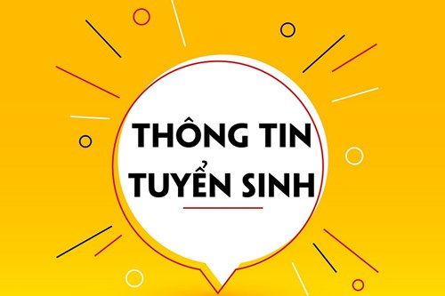 Thông báo tuyển sinh lớp 6 đợt 1 từ 25/6/2024 đến 04/07/2024