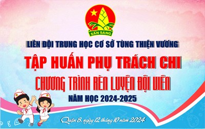 Hình ảnh tập huấn phụ trách chi, chương trình rèn luyện đội viên 2024-2025