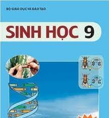 Hướng dẫn ôn tập kiểm tra cuối kì 2 - năm học 2023 - 2024