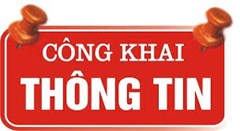 Trường THCS Bình Trị Đông công khai kế hoạch tài chính, công khai thực hiện dự toán thu chi ngân sách, công khai cam kết và chất lượng giáo dục 5 năm
