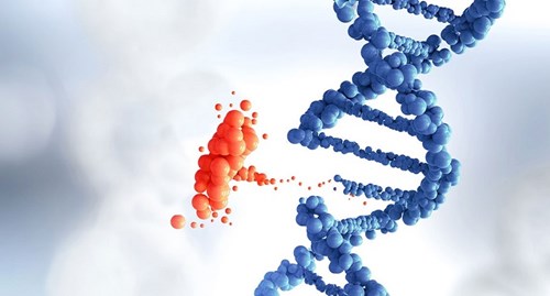 Bài 38 đột biến gene