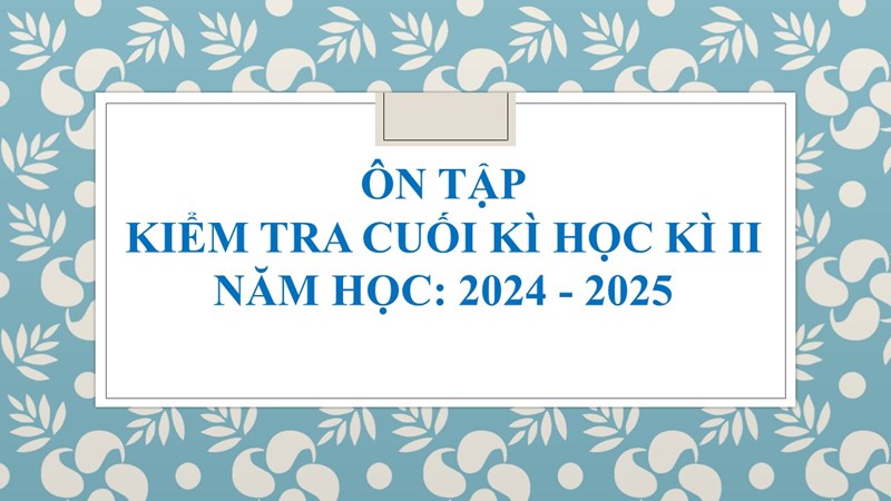 Ôn tập kiểm tra cuối kì HK2 năm học 2024 - 2025