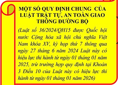 Một số quy định chung của Luật Trật tự, an toàn giao thông đường bộ