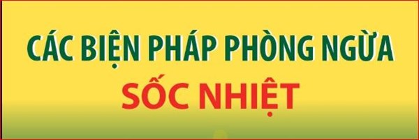 Các biện pháp phòng ngừa sốc nhiệt