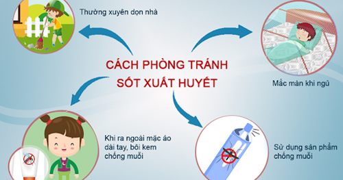 Phòng bệnh Sốt xuất huyết