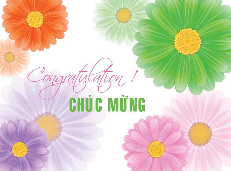 Tuyên dương các em học sinh đạt từ 24 điểm trở lên trong kì thi tuyển sinh lớp 10 năm học 2025 - 2026