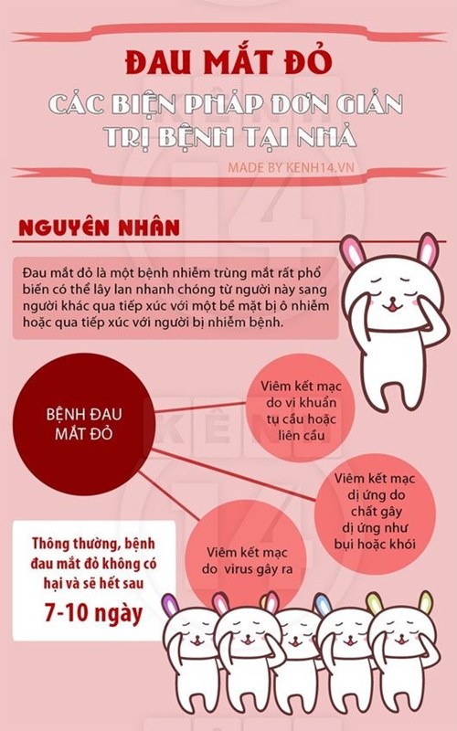 Bài tuyên truyền
bệnh đau mắt đỏ