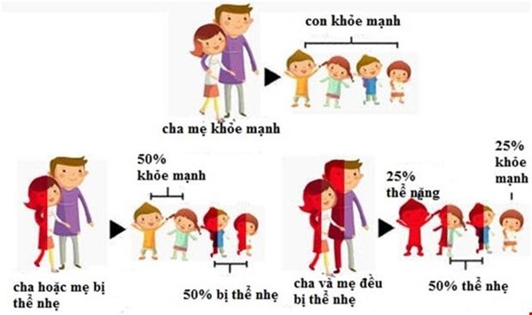 Ngày Thalassemia thế giới 08/5